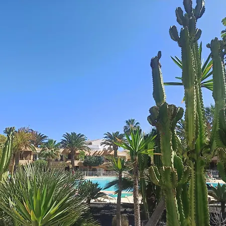 Elrincondesara * Corralejo